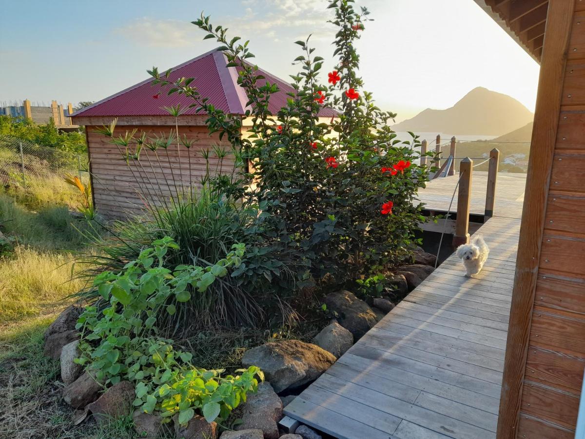 Ti Kaz Anoli Cottage En Bois Avec Vue Sur La Baie Terre-de-Bas Zewnętrze zdjęcie